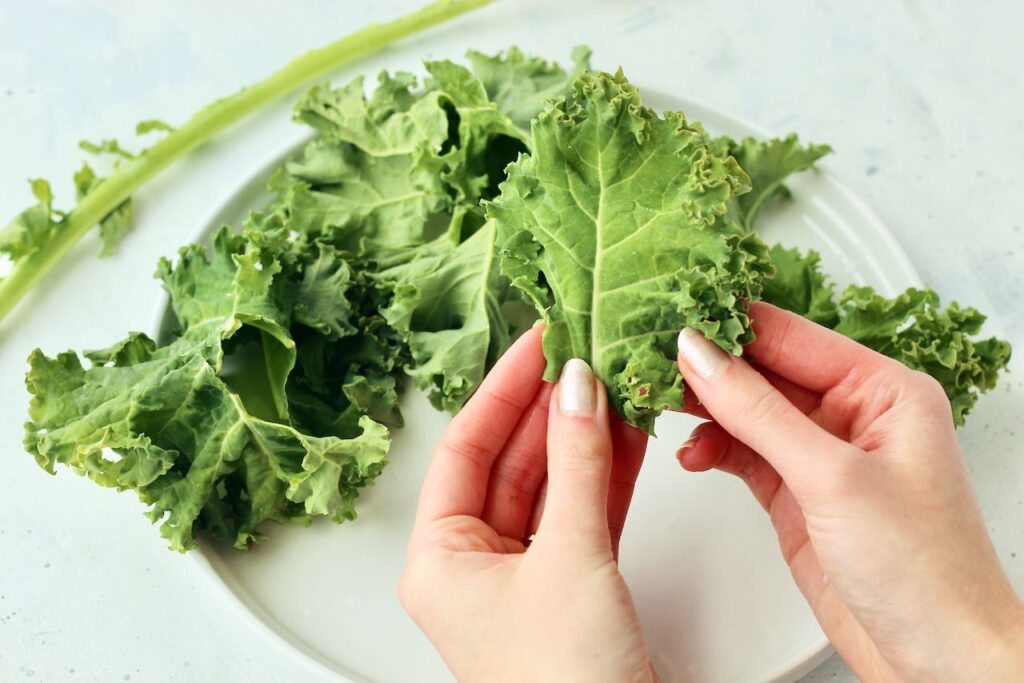 Microwave Kale Chips 4