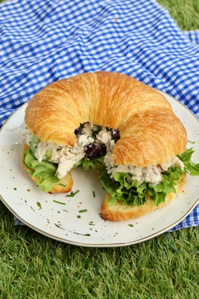 Chicken salad sandwich for picnic