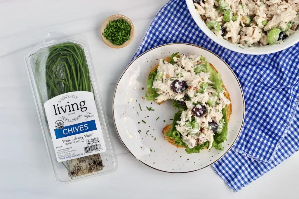 Chicken salad with chives