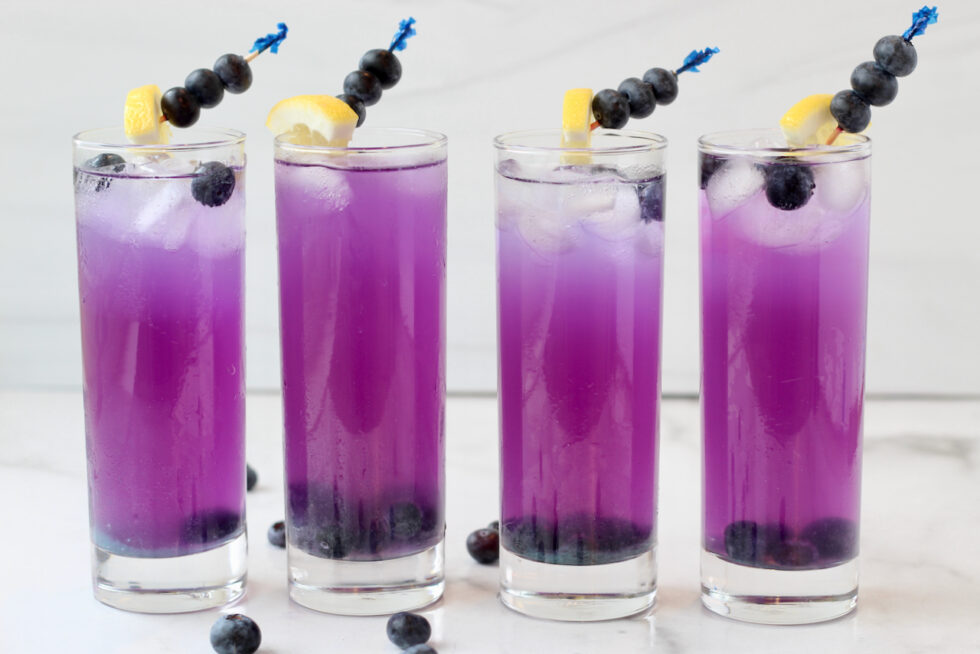 Blueberry Lemonade Cheerful Choices
