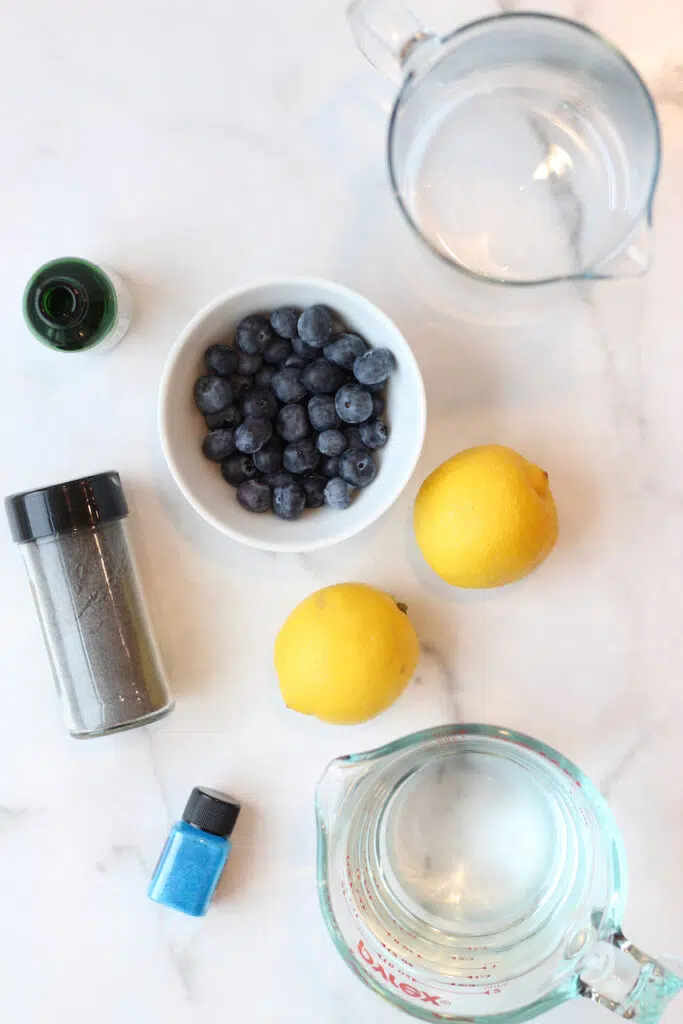 Blueberry lemonade ingredients on white backdrop