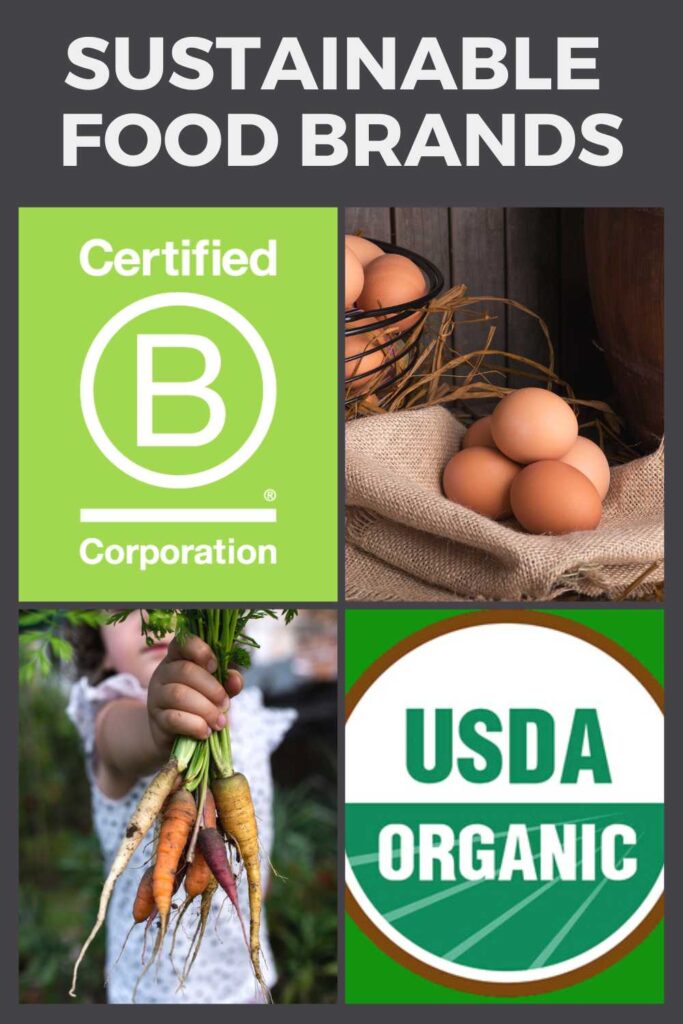 Sustainable food brands guide
