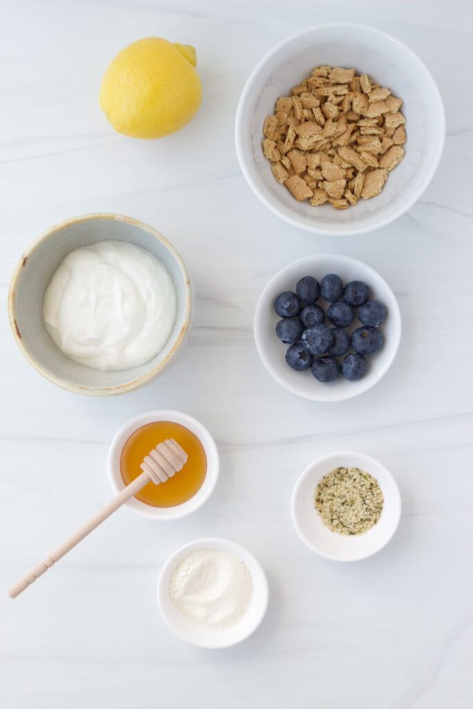 Ingredients for Lemon Blueberry Protein Yogurt Bowl