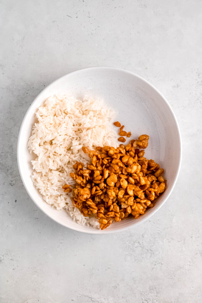 Rice and tempeh in white bowl