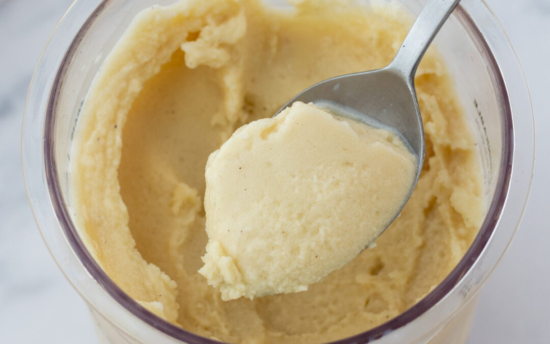 Ninja Creami Vanilla Protein Ice Cream