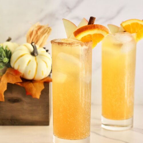 Apple Cider Mocktail
