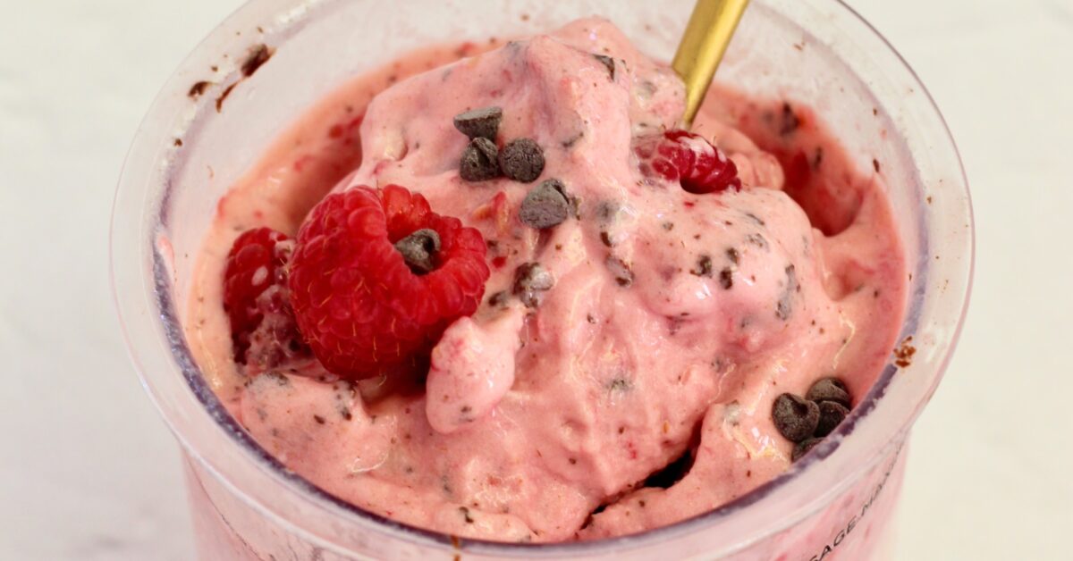 Raspberry Dark Chocolate Lifeway Kefir Protein Ice Cream in pint